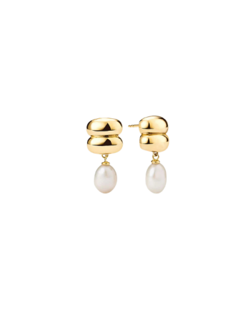 Picture for category Earrings